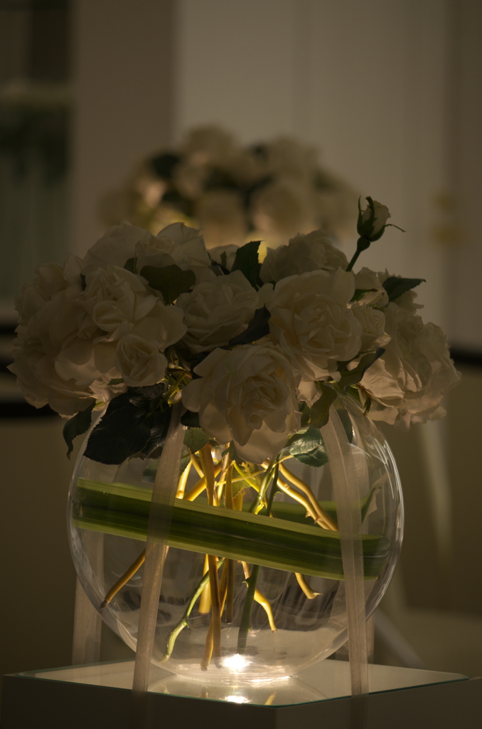 ショーウインドゥ