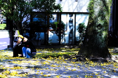 IMGP0905