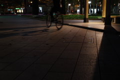 IMGP3311