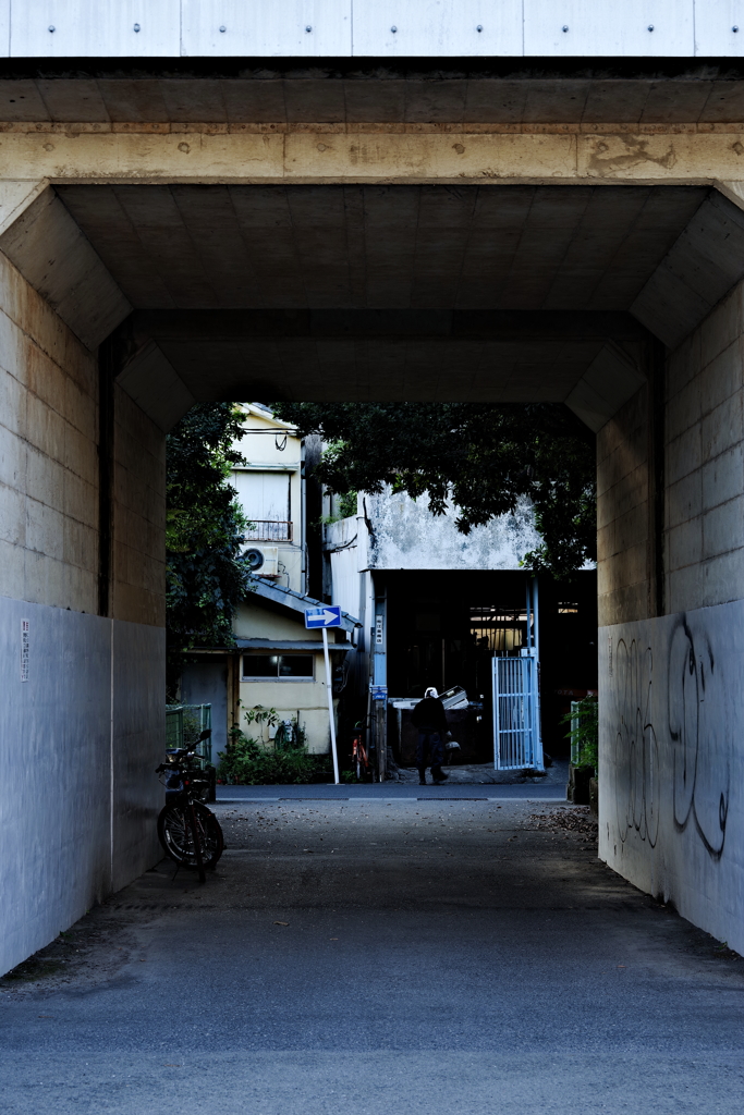 IMGP8953