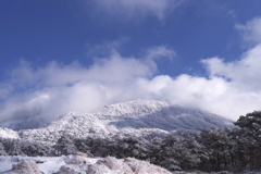 えびの高原雪景色１