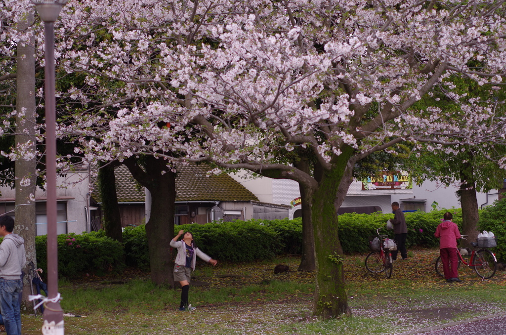 楽しみかたは人それぞれ