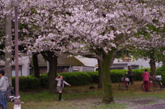 楽しみかたは人それぞれ