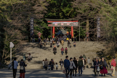 霧島神宮