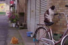 町内見まわり異常なし！