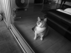 待つ