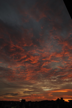 イマソラ