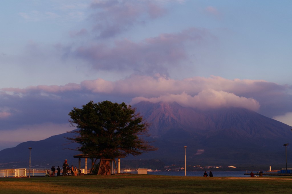 夕日に染まる