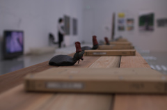 霧島アートの森　藤浩志　展より