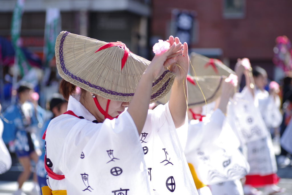 おはら祭本祭り