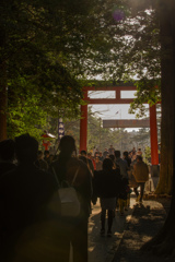 初詣・4日ぶり六社目（笑）