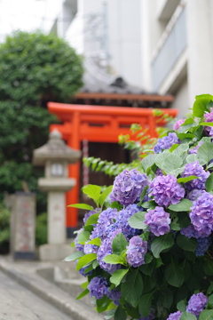 街中にひっそりと
