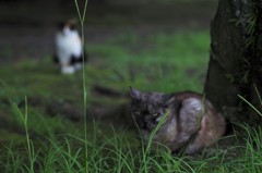 これは何人かヤッてる顔ですな(;^ω^)