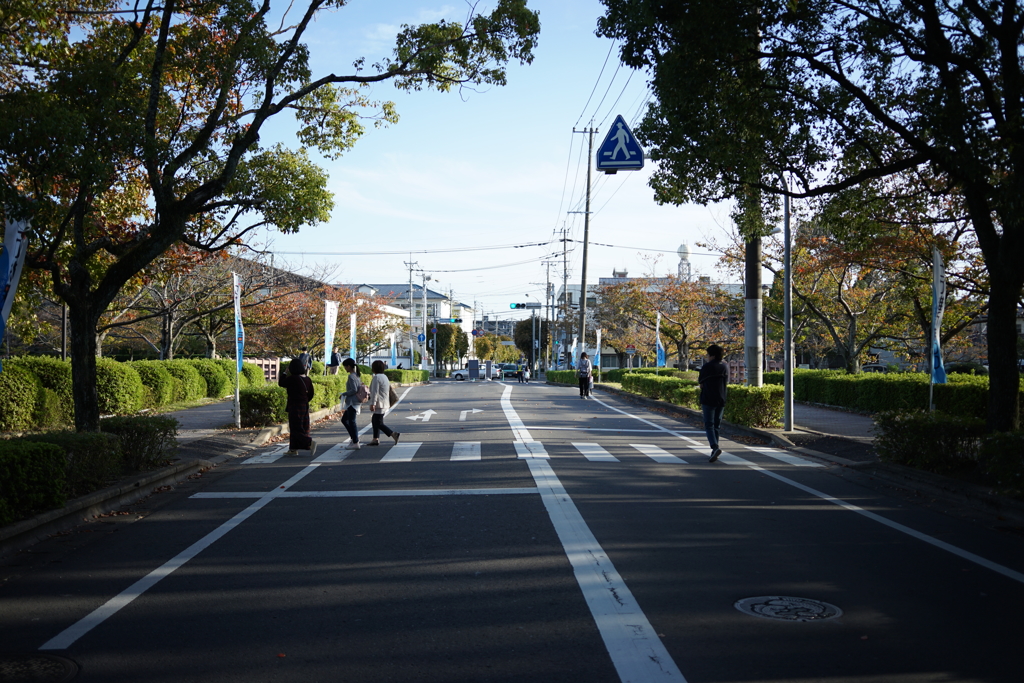 まったりとした歩行者天国