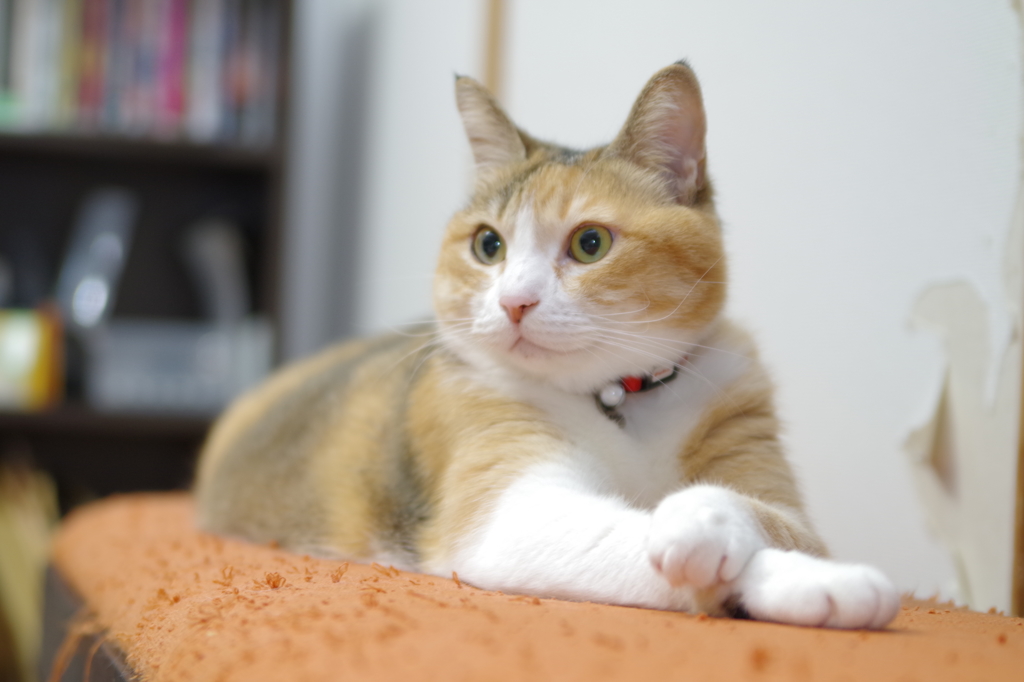 ん？