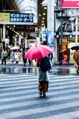 雨