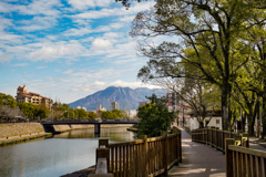 散歩日和