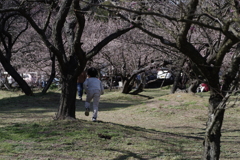 かくれんぼ