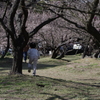 かくれんぼ