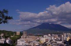 南洲墓地公園より