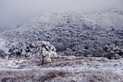 えびの高原雪景色３