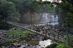 涼を求めて汗を流す３