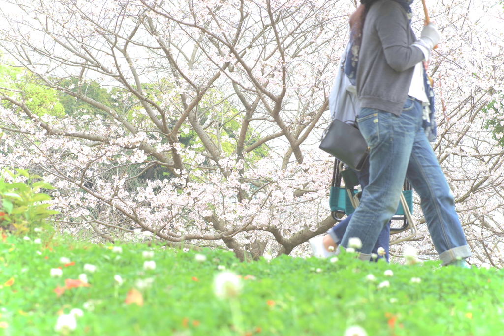 ふんわりって難しい・・・