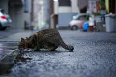 うるおす