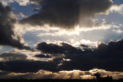 IMGP2935