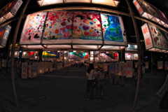 IMGP6920-1