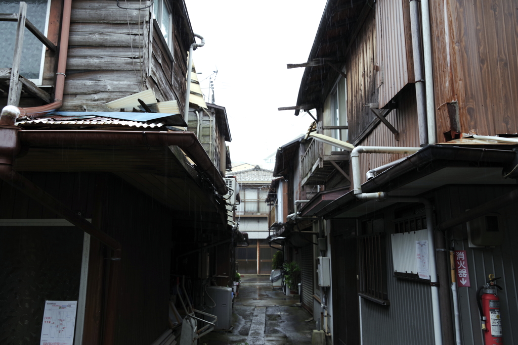 冷たい雨