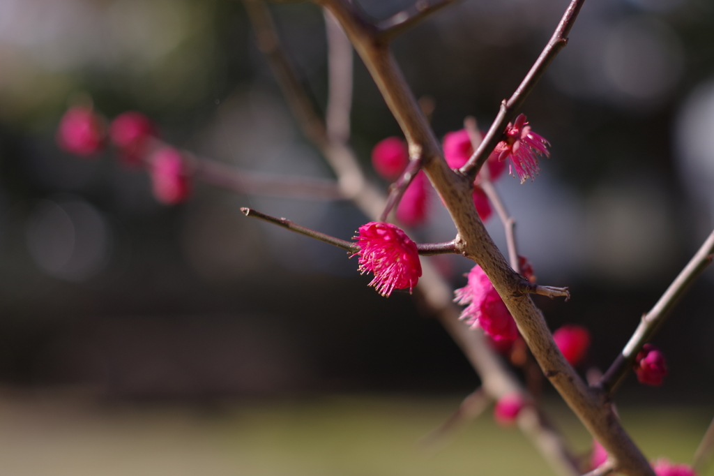 ピンずれ御免！