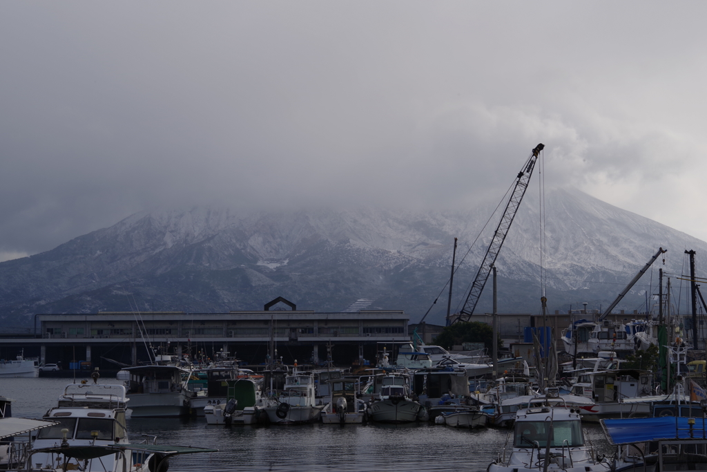 思ったより降らなかった朝