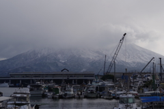 思ったより降らなかった朝