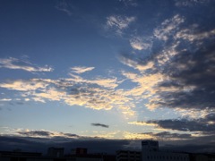 今日の夕方