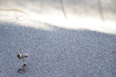 埋もれないように