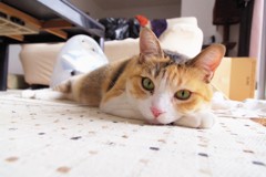 なにしてんの？