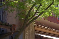 光さす街
