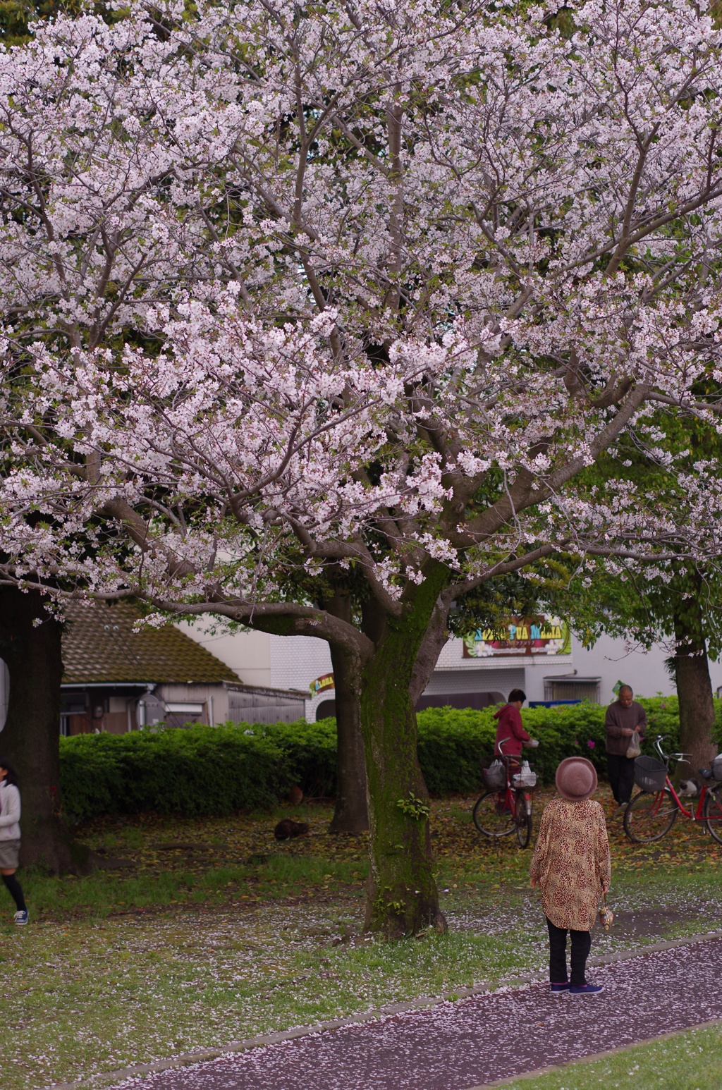 楽しみかたは人それぞれ２