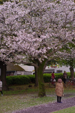 楽しみかたは人それぞれ２
