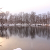 冬の鳥沼公園⑥