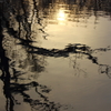 夕暮れ、水面に浮かぶ