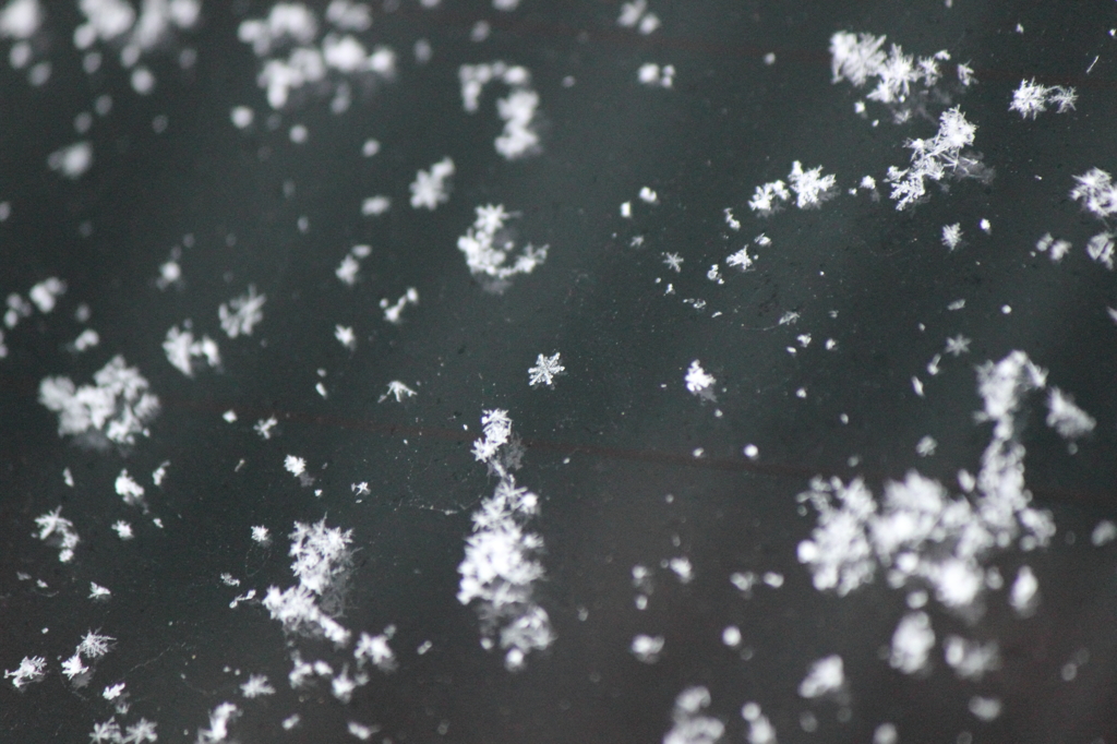 雪の結晶