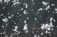 雪の結晶