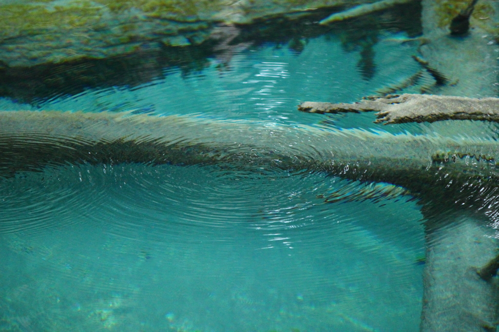 水面に溶ける