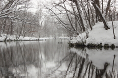 冬の鳥沼公園②