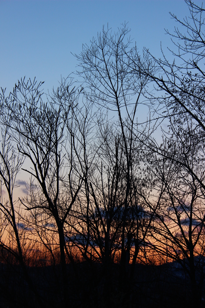いつかの夕暮れ④