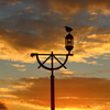 鳥も見惚れる夕日かな