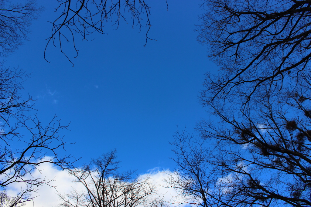青空