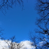 青空